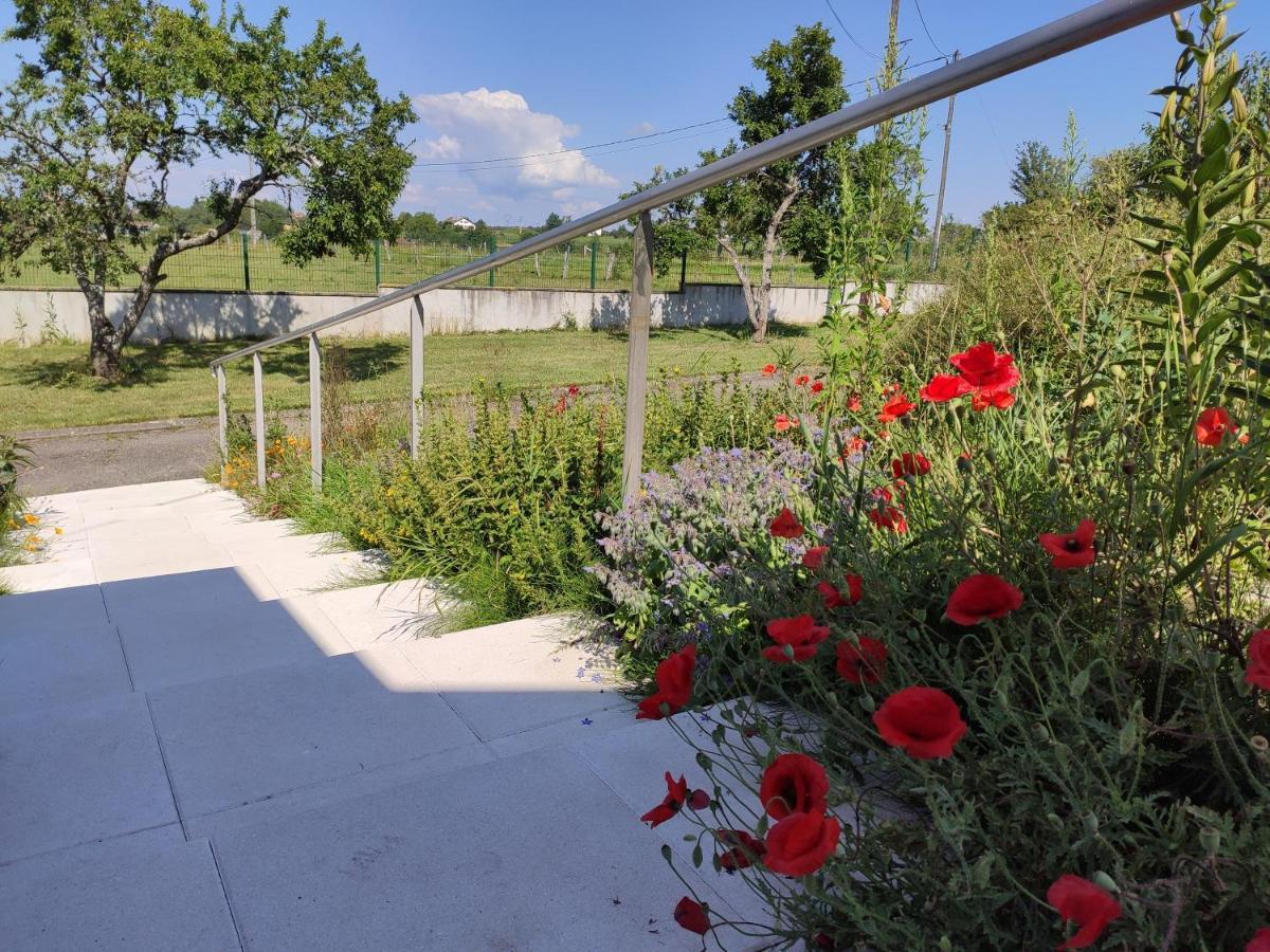 Domaine Des Arts Hotel Dompierre  Buitenkant foto